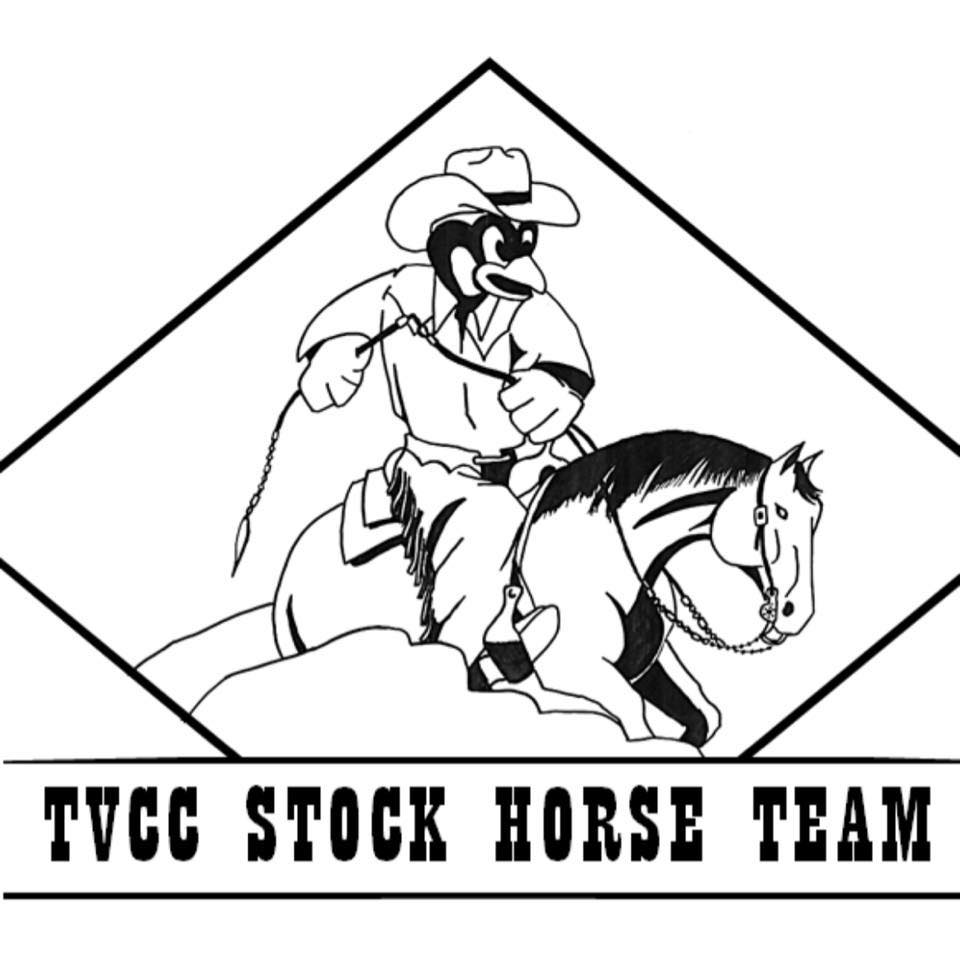 Image of the stock horse team chukar