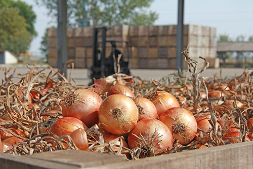 Agriculture
