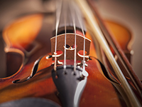 Fine & Performing Arts